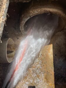 IMG-20220126-WA0005 (1)