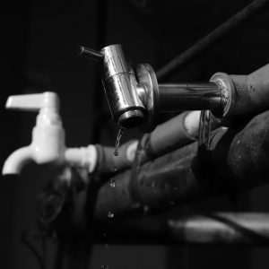 photo-1569246450941-8df6bbe097bc